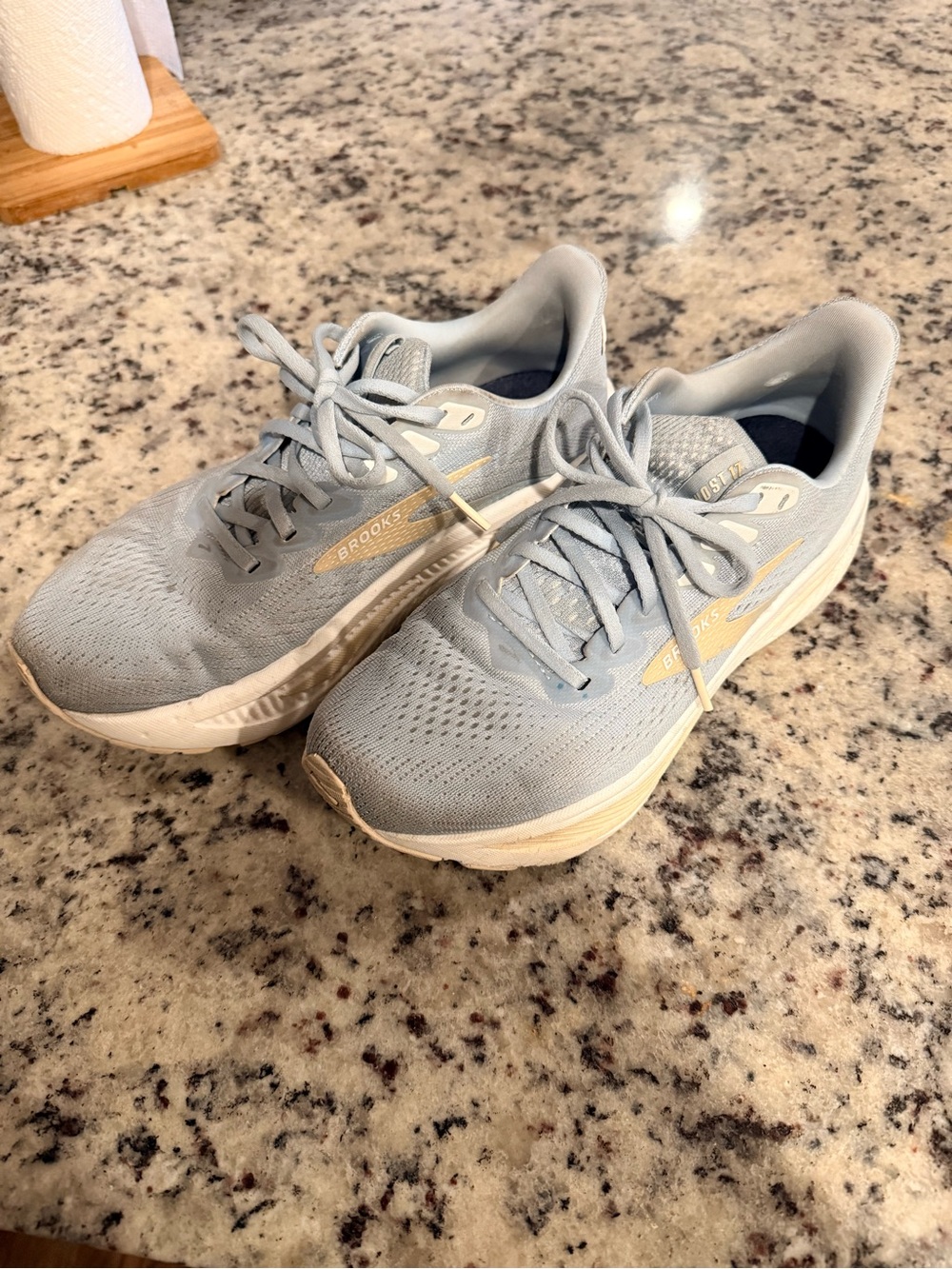 Women’s Brooks Ghost 17